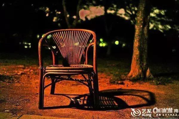 一份关于厦门的回忆,做了一场关于厦门的梦