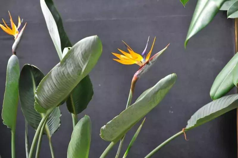 高一函数从零开始学习方法,高中函数学习方法大全