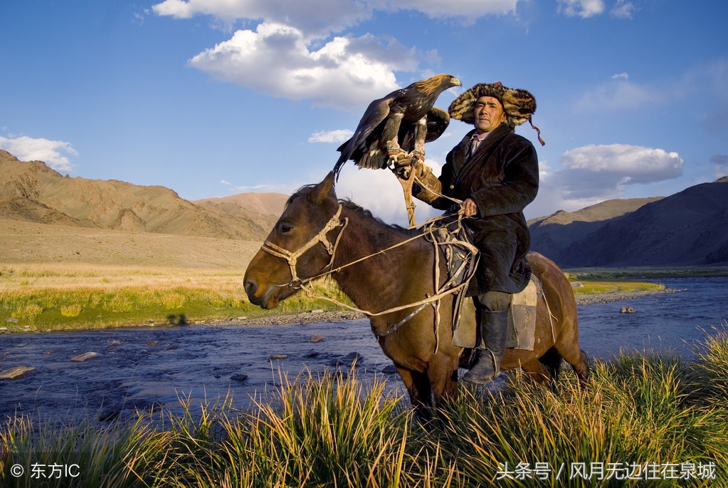 蒙古马和套马图片,蒙古套马绳子教学