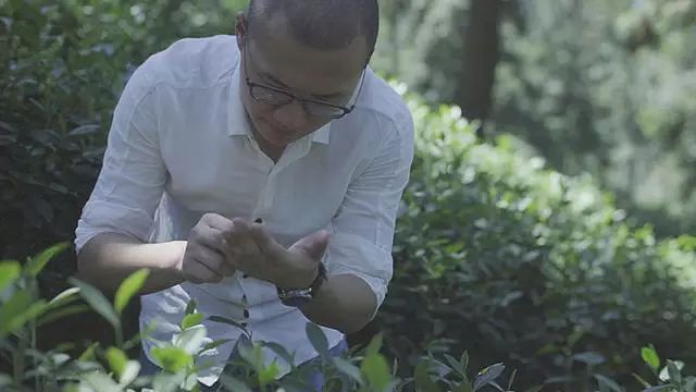 他找来浙大团队，用茶研发洗护用品，成了日本人都在代购的新国货
