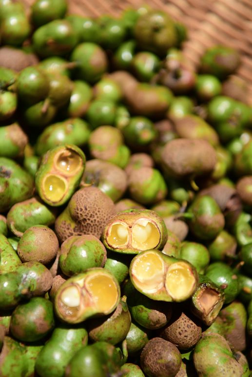 他找来浙大团队，用茶研发洗护用品，成了日本人都在代购的新国货