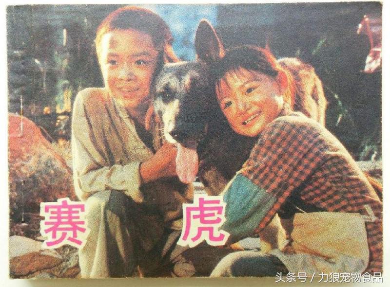 你给宠物起过哪些奇葩的名字？盘点那些让人印象深刻的宠物名字！