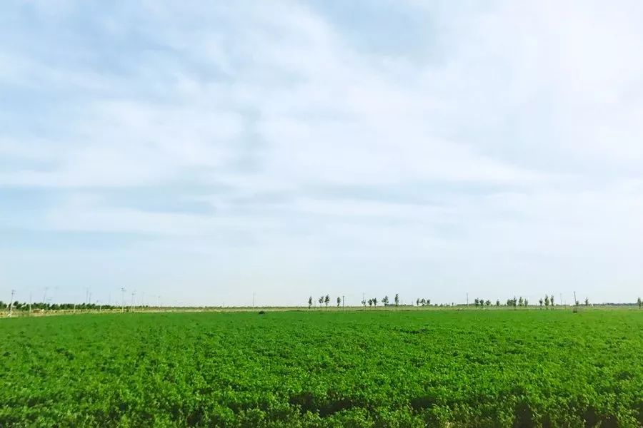 牧场放心奶拼团,牧场牛奶拼团