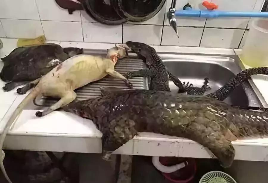 海外代购的荒唐陷阱,最可怕的代购骗局