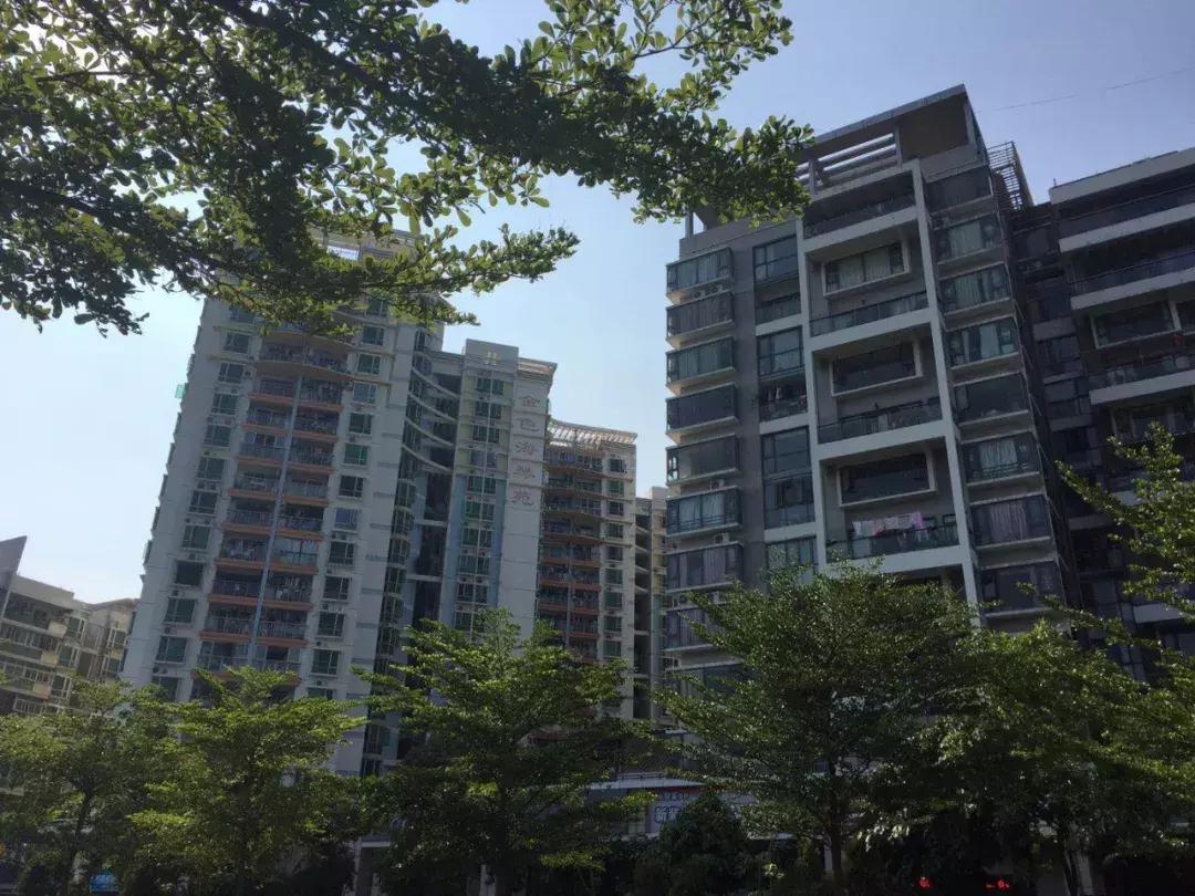 深圳湾最便宜楼盘,深圳湾大面积新盘