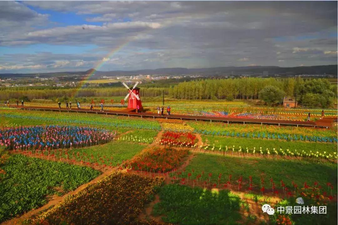 2019龙井重点项目,聚力项目建设加速动能转换