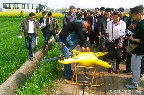 十大最适合农村创业项目,最新适合农村的五个创业项目