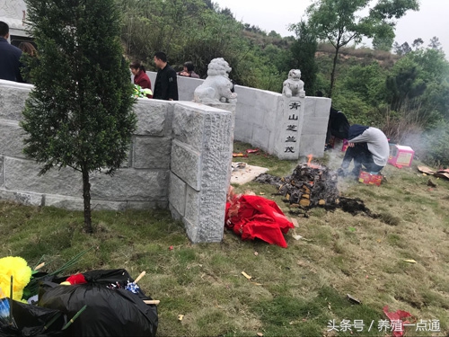 十大最适合农村创业项目,最新适合农村的五个创业项目