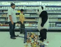 真假三文鱼完整版,真假三文鱼怎么区分