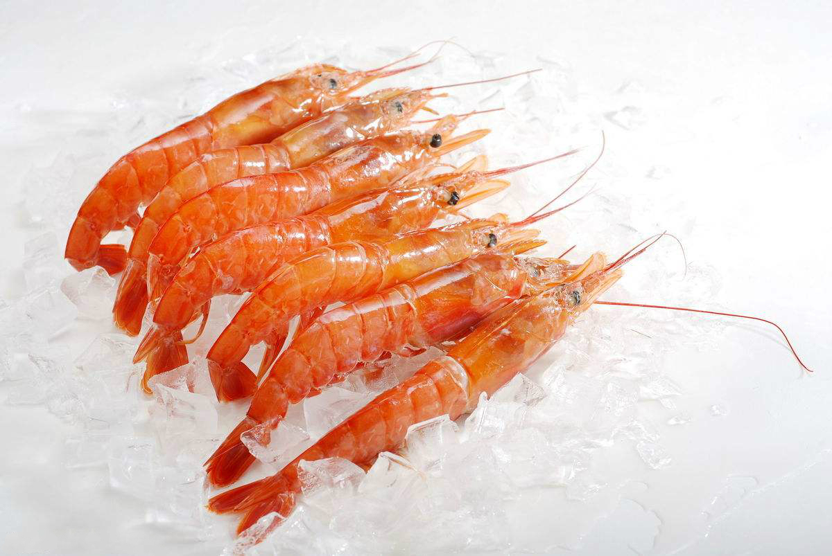 梅西世界杯五次拯救阿根廷,吃货的世界杯唯有美食不可辜负