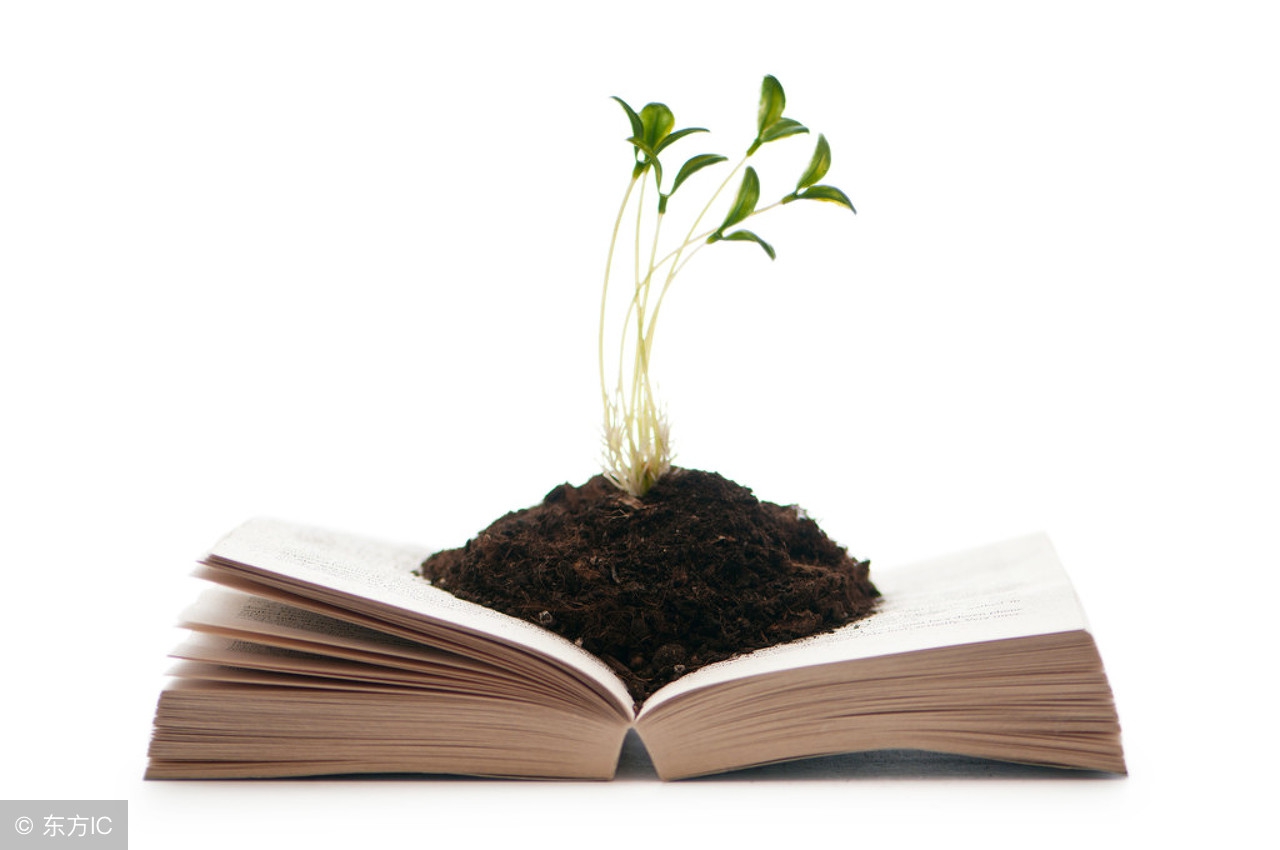 人力资源管理师资格认证考试,人力资源管理师分为几个等级