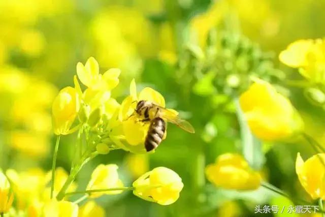 别老喝饮料了在家这样喝更健康,喝白开水健康又养生