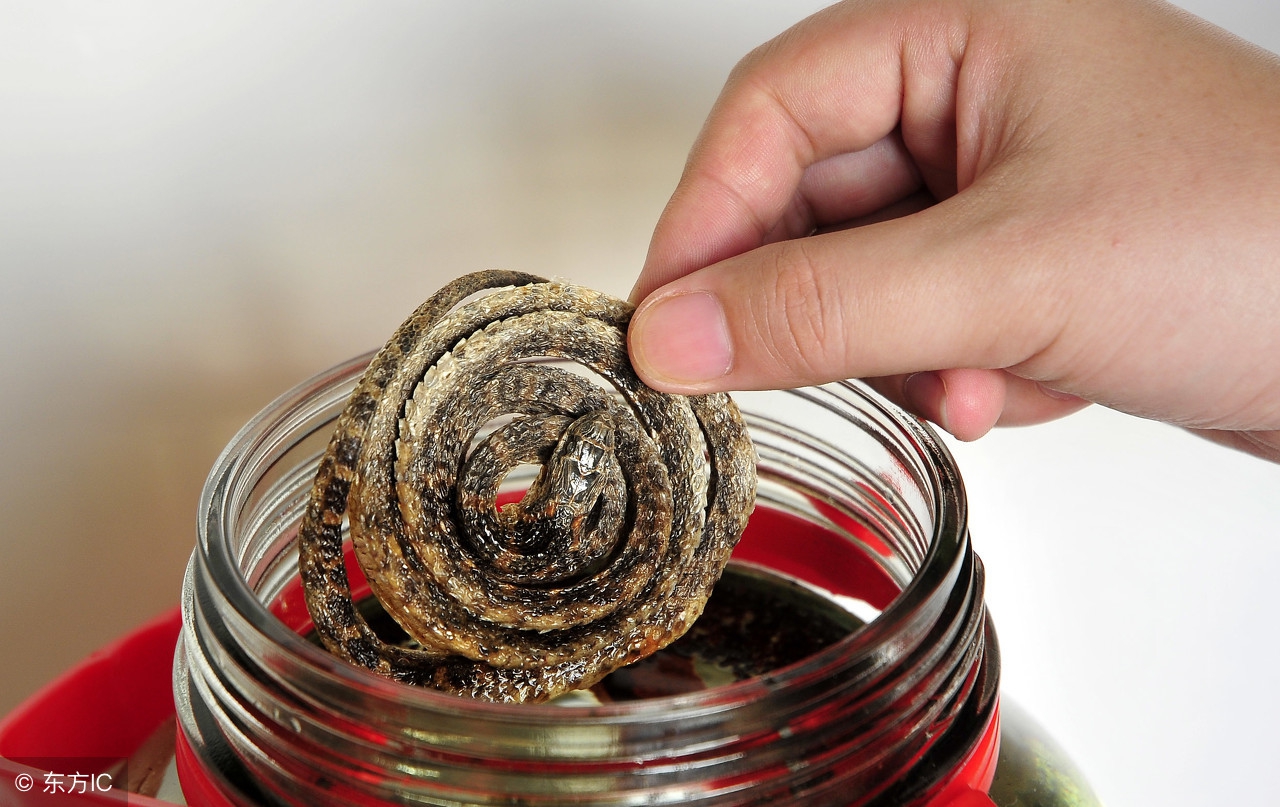 用古方用来泡酒太厉害了建议收藏,古方中药泡酒提高记忆力