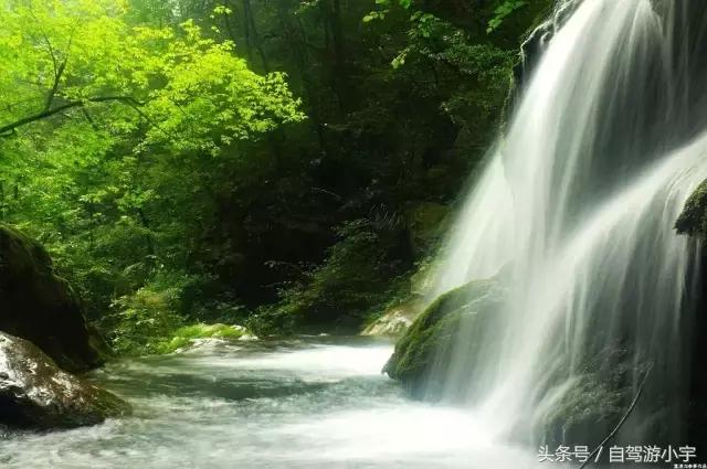 洛阳重渡沟野生动物园,郑州到洛阳重渡沟自驾