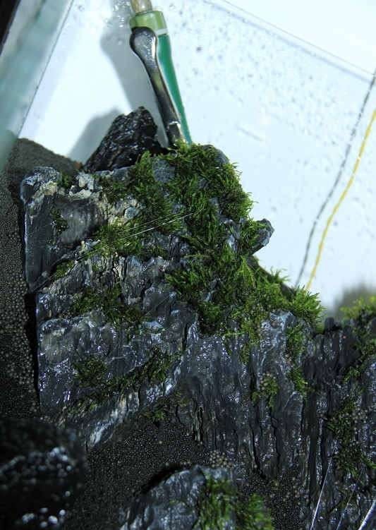 如何布置鱼缸水草造景,峡谷河流鱼缸