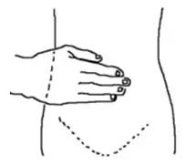 女人吃艾草茶有哪些作用,女人吃艾叶有什么好处呢