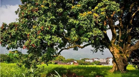 美丽中国福建视频,美丽中国福建福清