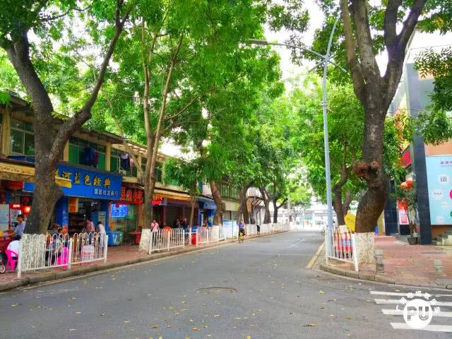 有一条街，叫明心路