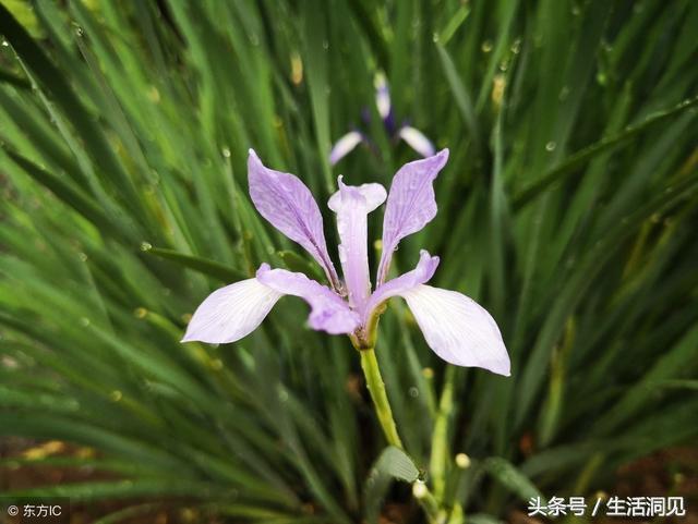 人到老了屁股会萎缩吗,马屁是不是随便拍的