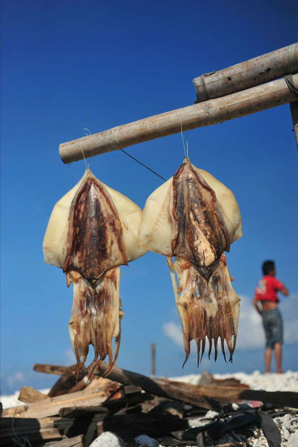 海钓，勇敢者的征服之旅