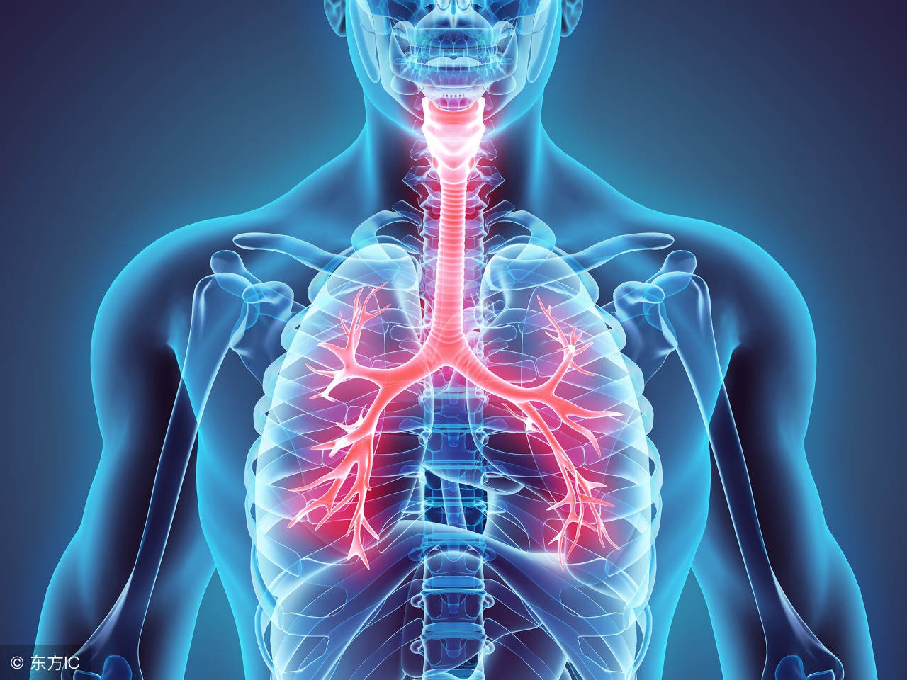 支气管哮喘的治疗方法口诀,支气管哮喘的药疗指导