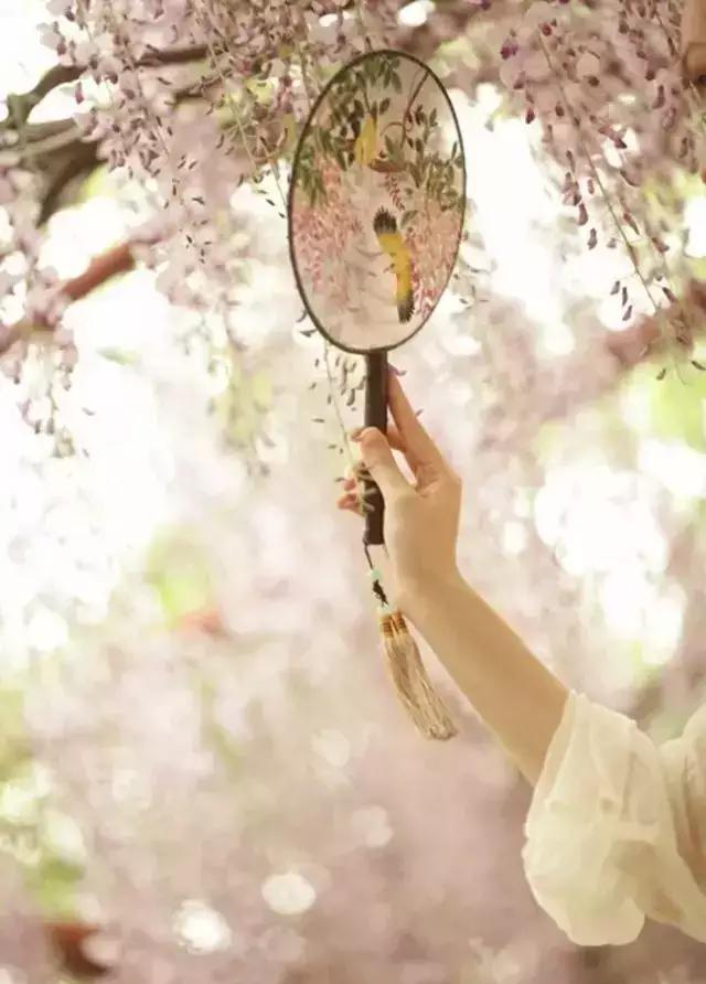 长相思临邑,长相思相柳壁纸横屏