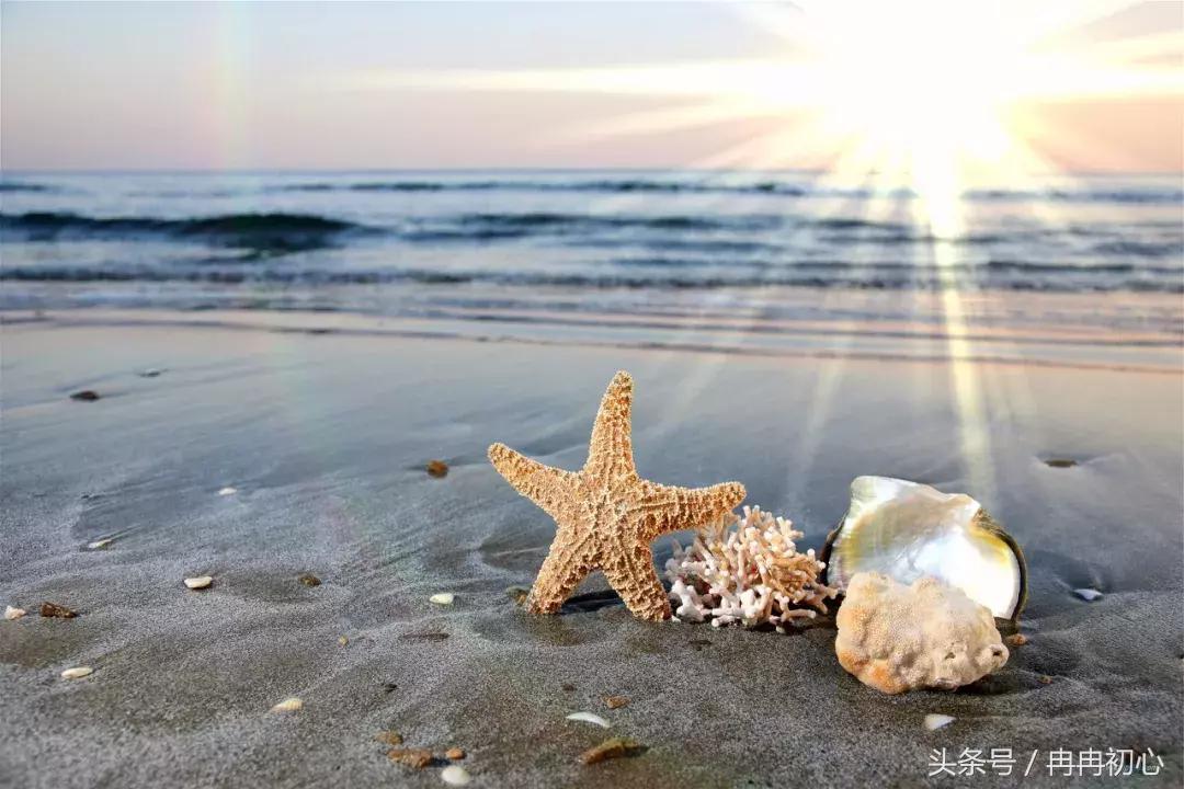 人生无常心安便是如此美好,人生无常心安便是归处下联