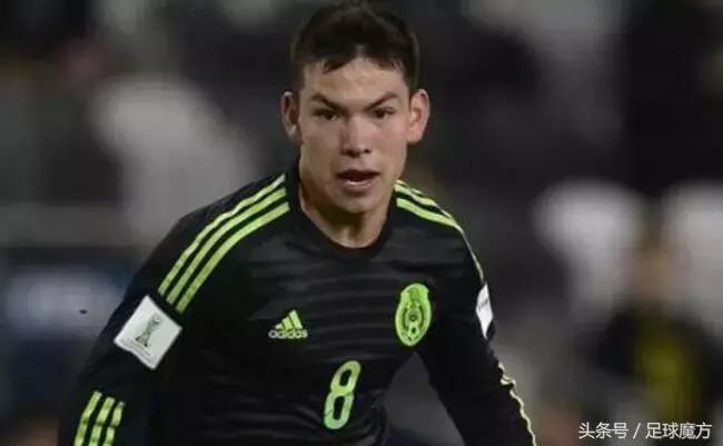 魔方仙人掌,魔方里面的秘密武器