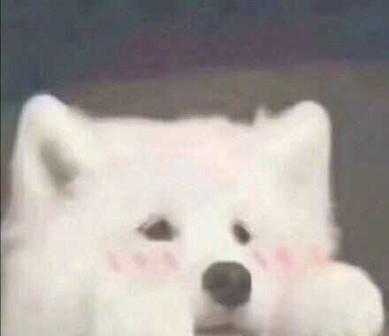 新手淡妆化妆简单步骤,新手护肤化妆步骤教程