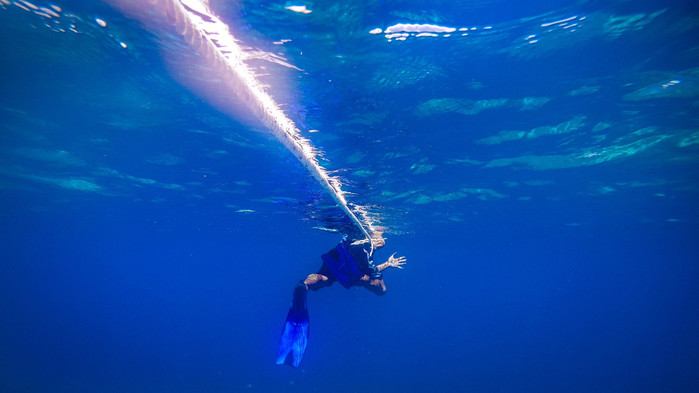 美娜多潜水圣地,印尼美娜多海豚潜水
