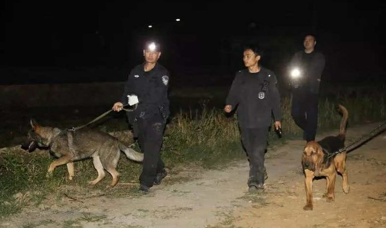 湖南留守儿童杀人案例,湖南两个幼女被害案