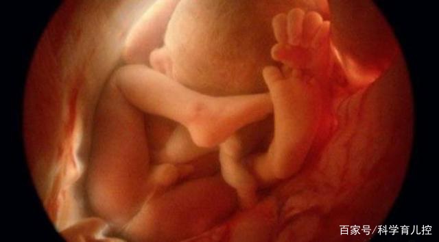 精子的产生全过程,精子从开始到最后的过程