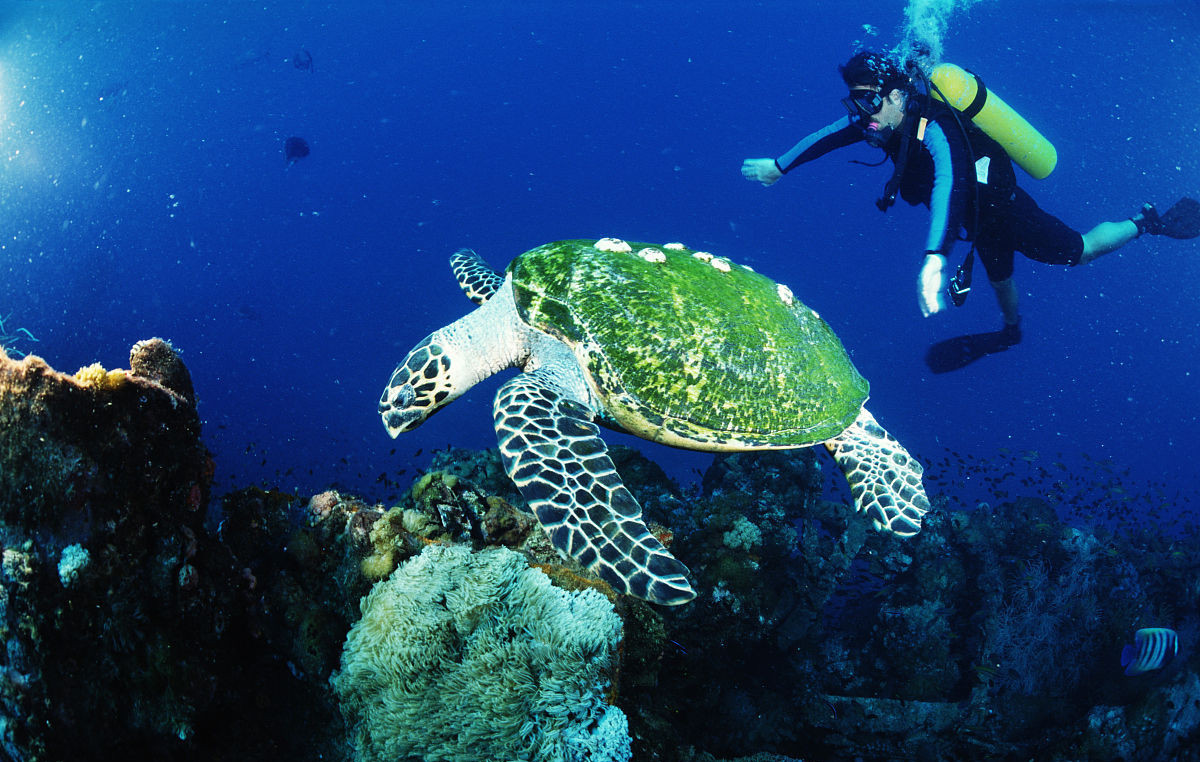 澳大利亚省钱攻略,不可错过的景点攻略