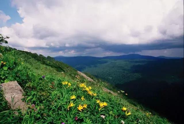 迷人的哈尔滨之夏万达实景,迷人的哈尔滨之夏