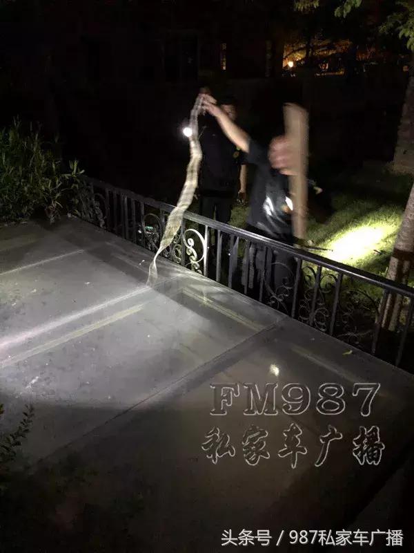 光天化日，福州一高档别墅草丛内“不可描述”的场景！吓坏居民……