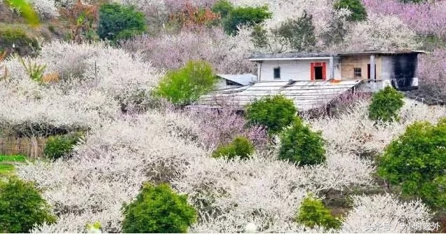惠东县梁化镇有什么旅游景点,惠州惠东自驾游十大景点推荐