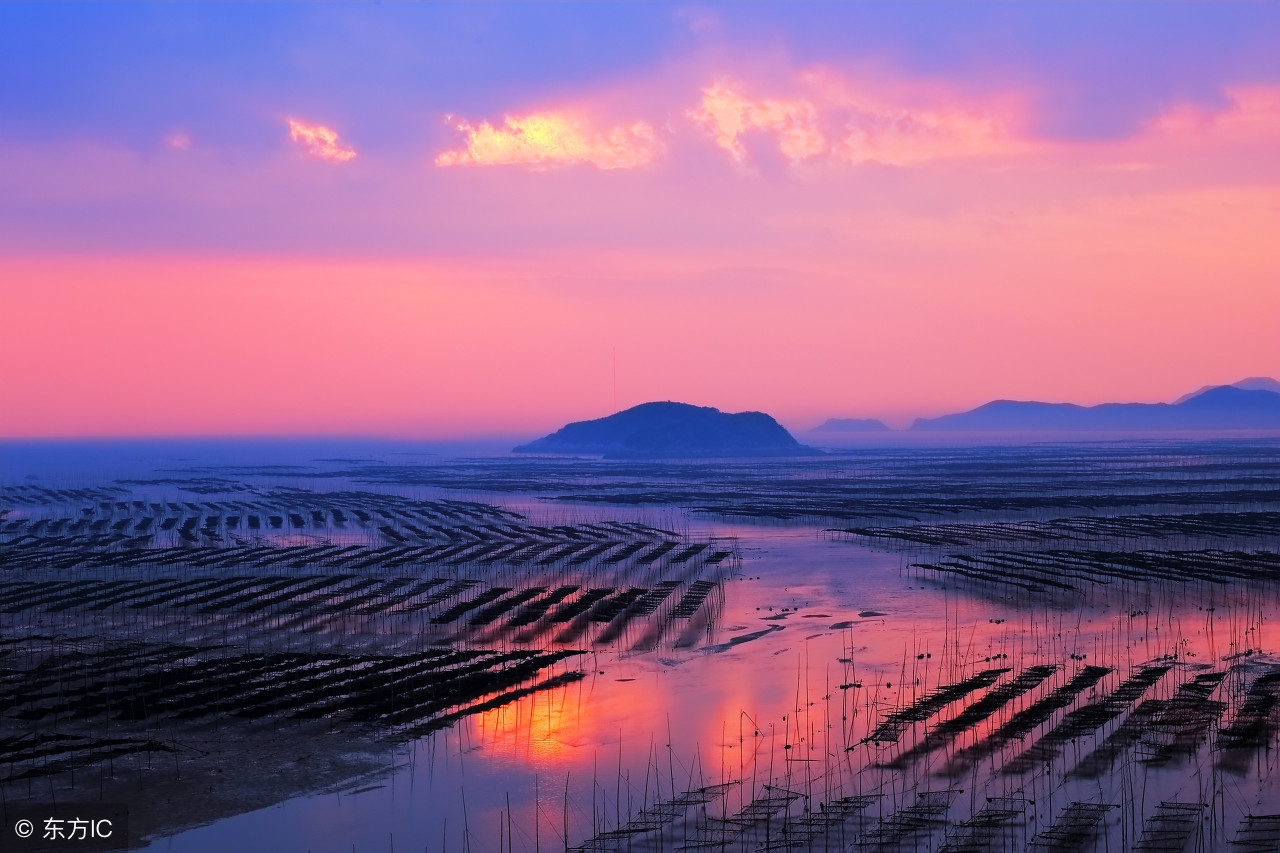 海参背后不为人知的内幕 (关于海参你不知道的几个真相)