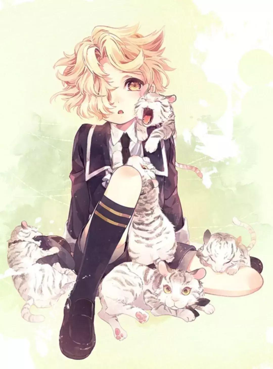 湘北五虎高清壁纸,百米五虎高清壁纸