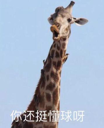 瑞风S7发动机,瑞风s71.5t发动机