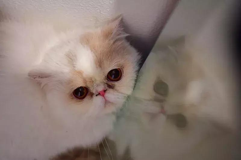 南京20分钟车程外的不老村，咖啡屋、书吧、酒吧，周末度假好去处