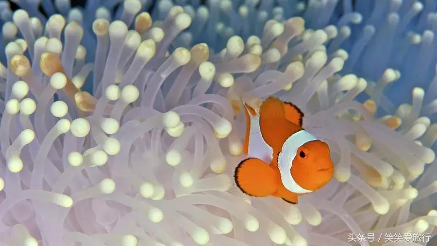 沙巴必去的十大景点,沙巴旅游攻略100条