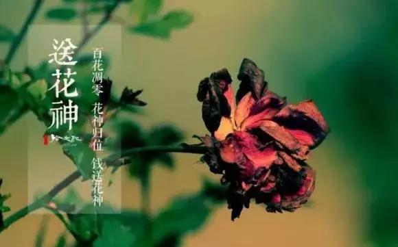 芒种节气什么意思有什么讲究,芒种是指哪个节气