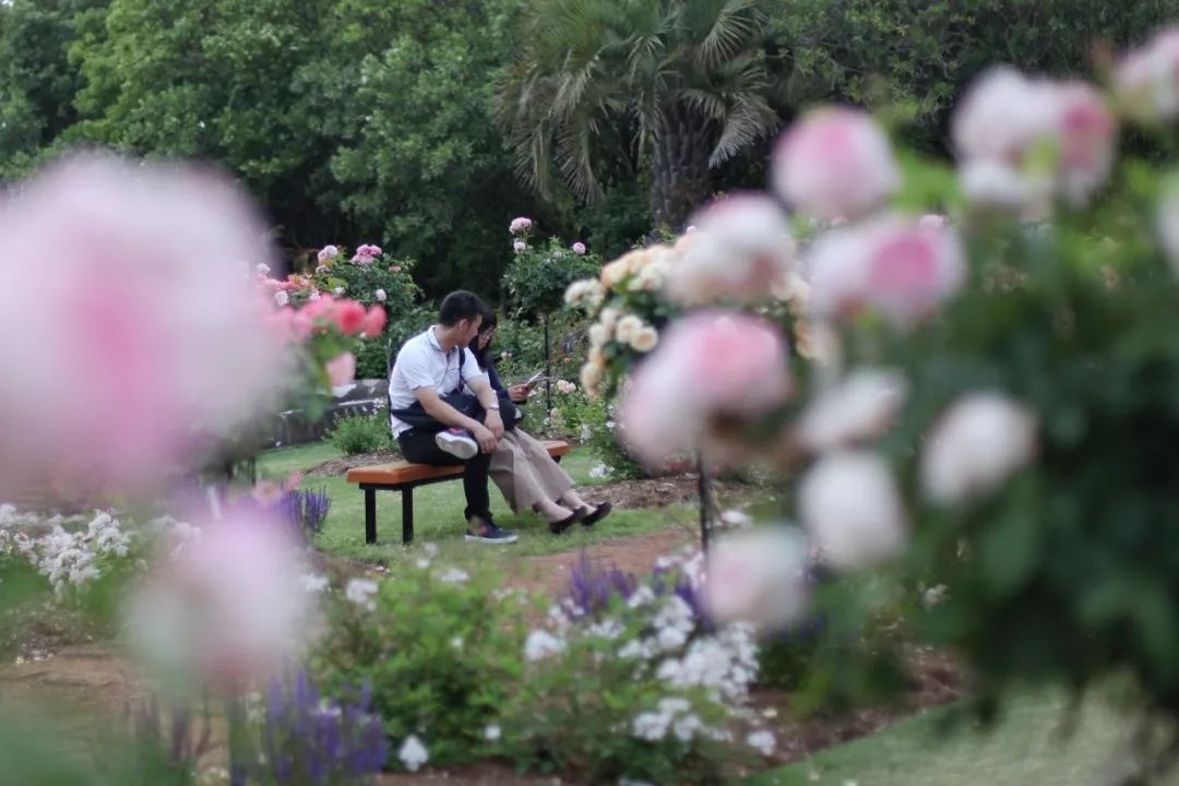 五天四晚适合去哪玩,适合五天四夜清静的旅行