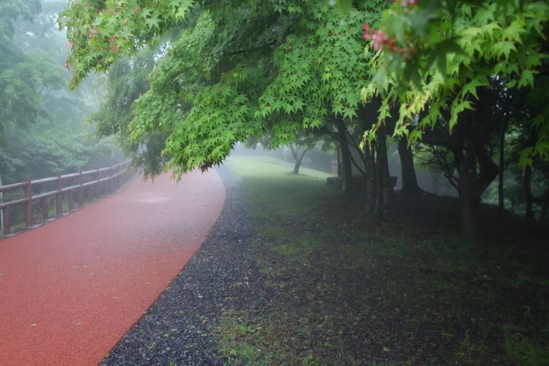 五天四晚适合去哪玩,适合五天四夜清静的旅行