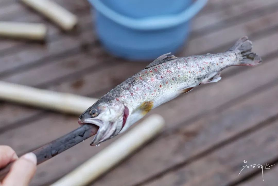 日本的这个地方，很少有中国游客，超级文艺治愈系！