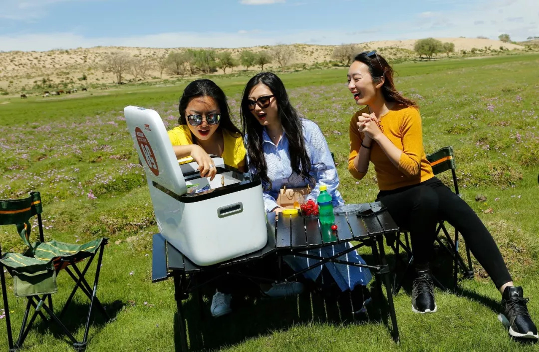 英得尔车载冰箱带电池,英得尔户外车载冰箱