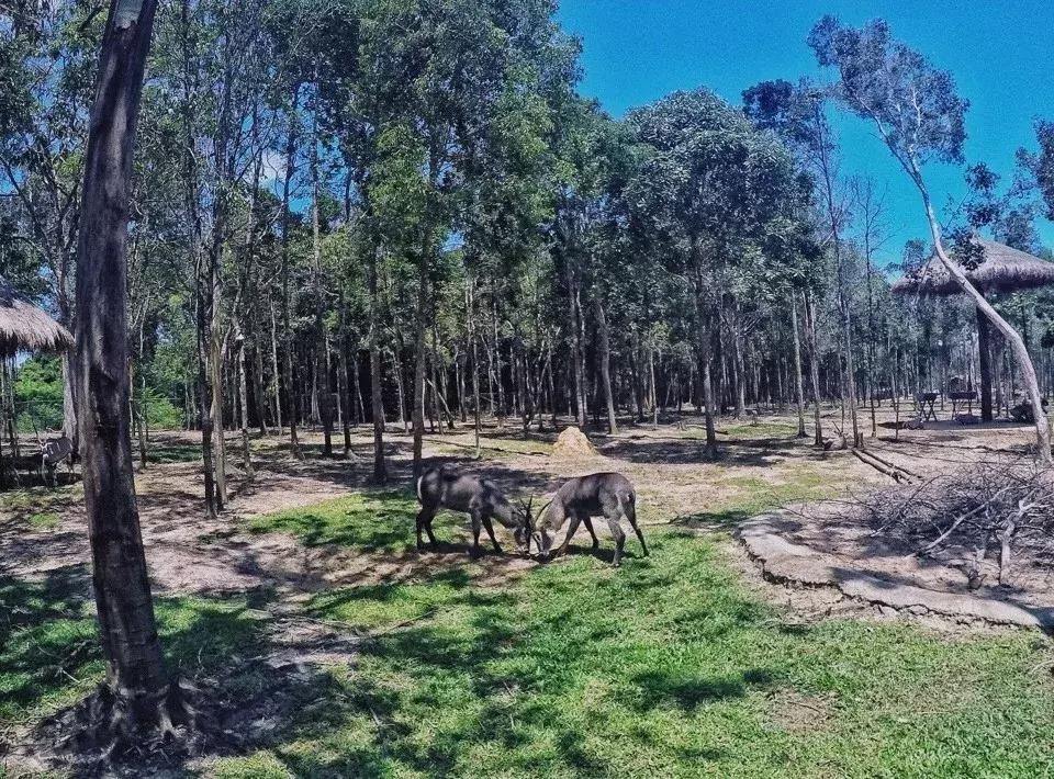 一个未被中国人攻陷的岛屿,4个免签的绝美海岛