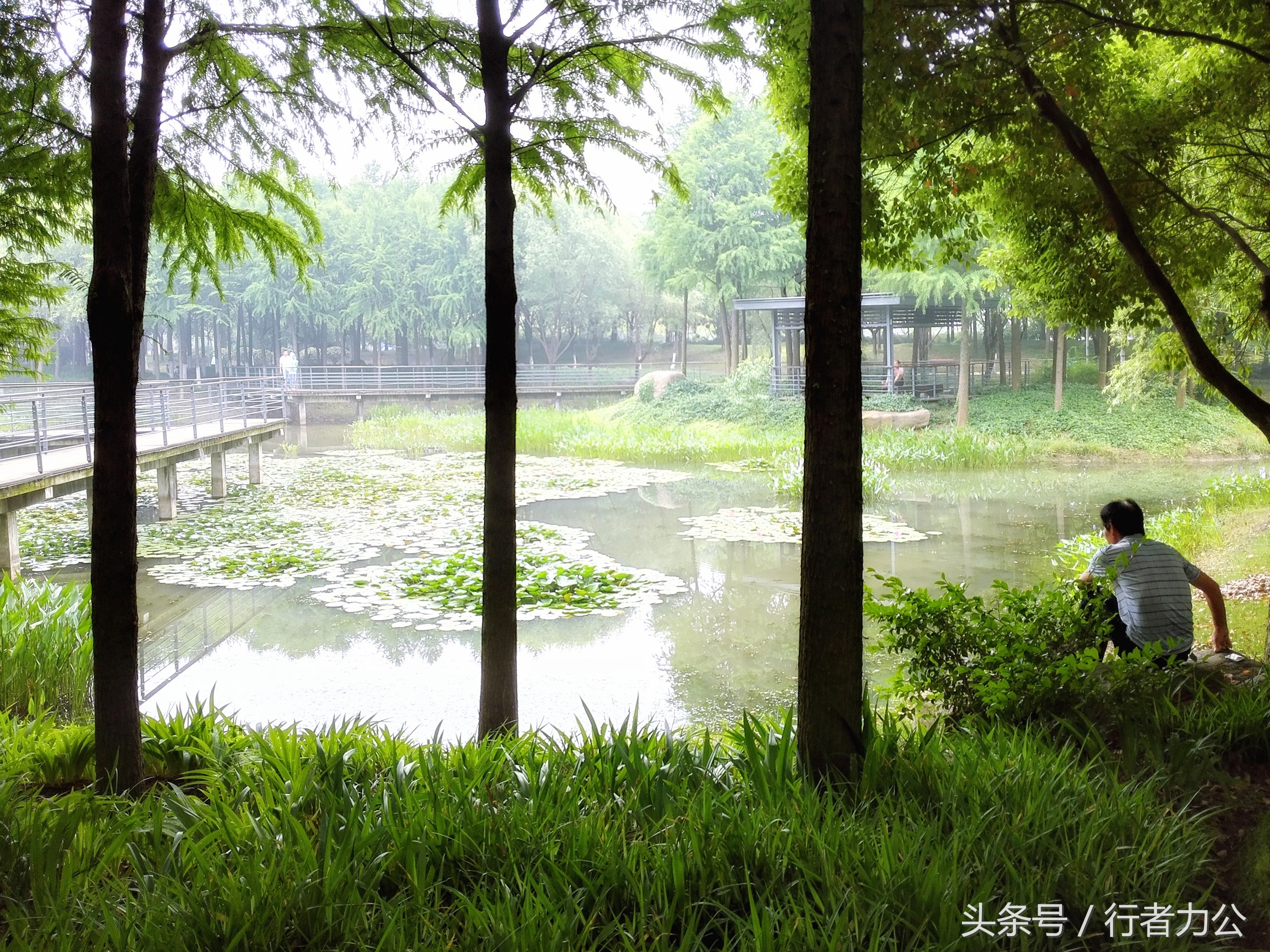 尚贤河湿地公园攻略,尚贤河湿地景点