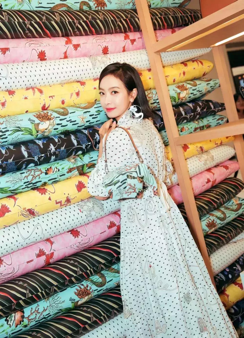 loewe同款包,loewe小象包能装吗