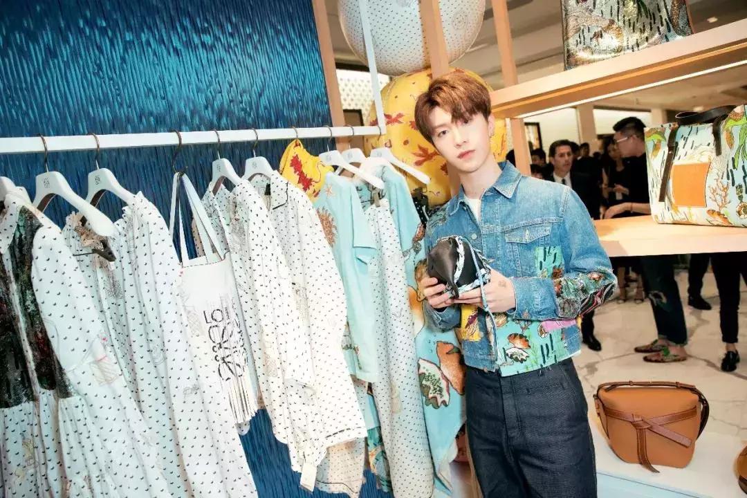 loewe同款包,loewe小象包能装吗